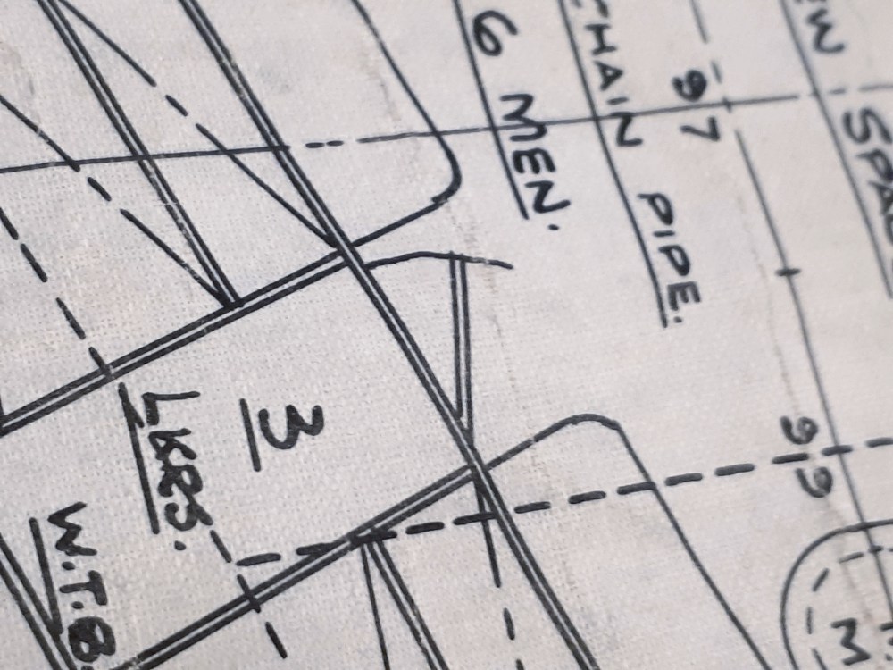 close up of plan 806