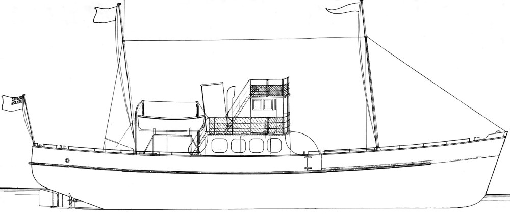 BIGDRAW Yorkshire Belle